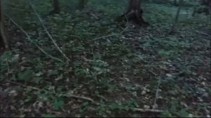 Заблудились в лесу.Шок!!Последняя часть с дачи ,сбор грибов.