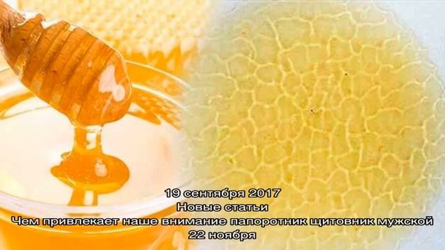 Генетическая память меда фото Генетическая память меда фото