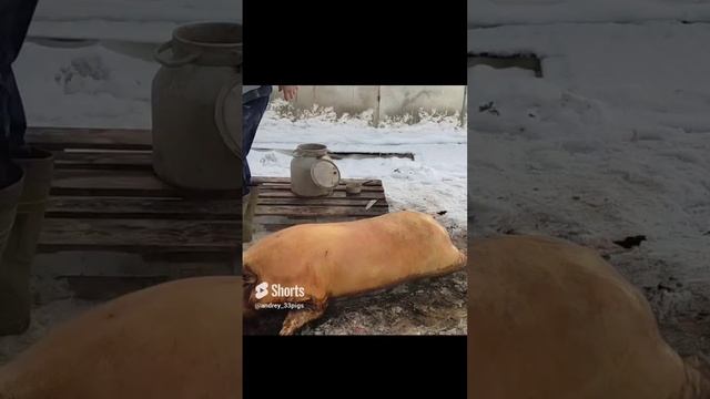 ?Всё быстро⚡ смотреть онлайн