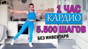 КАРДИО ТРЕНИРОВКА 1 ЧАС. БЕЗ инвентаря. БЕЗ прыжков | Natinfitness