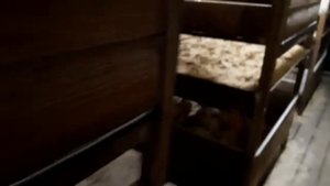 Клетки для бройлеров (брудеры). Брудерная для цыплят. Отопление и вентиляция птичника.