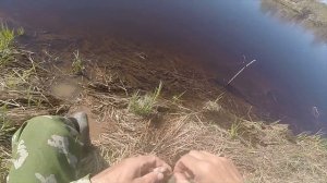 Ловля ерша на удочку, видео rybachil.ru