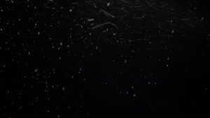 Raylab. Генератор снега (пены) Snow machine. Обзор.