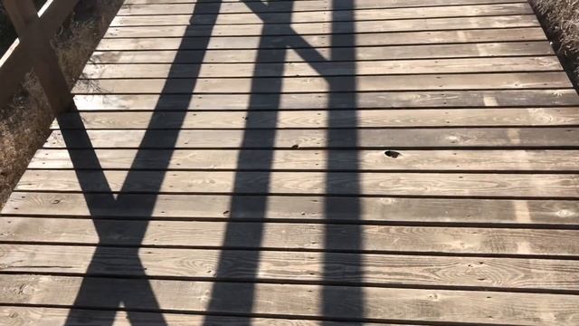 Штормовое Азовское море/Зимняя поездка к озеру Чокрак/поселок Курортное