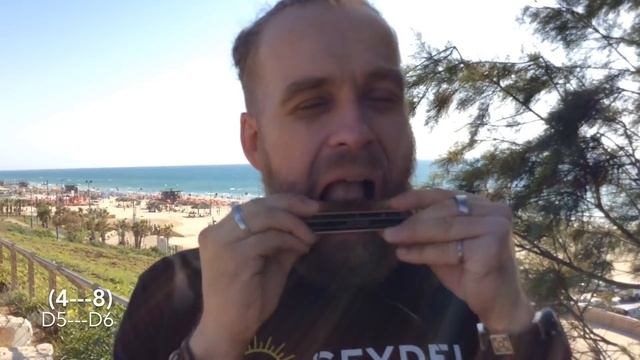 Как играть на губной гармошке: октавы и разделенные интервалы смотреть онлайн