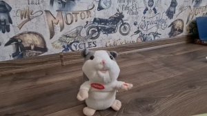 Бит бокс реп батл с хомяком #юмор #битбоксер #репбит #хомяк #кактус