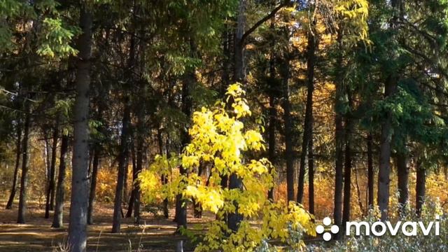 #Доброе утра друзья!# смотреть онлайн