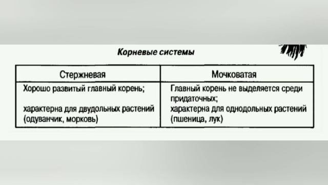 26 ноября 2020 г. смотреть онлайн