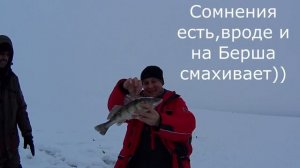 ЗИМНЯЯ РЫБАЛКА НА СУДАКА И БЕРША НА ТЮЛЬКУ.ЛОВЛЯ СУДАКА И БЕРША НА ПОСТАВУШКИ.ЛЕЩ НА САЛО.КАМА.