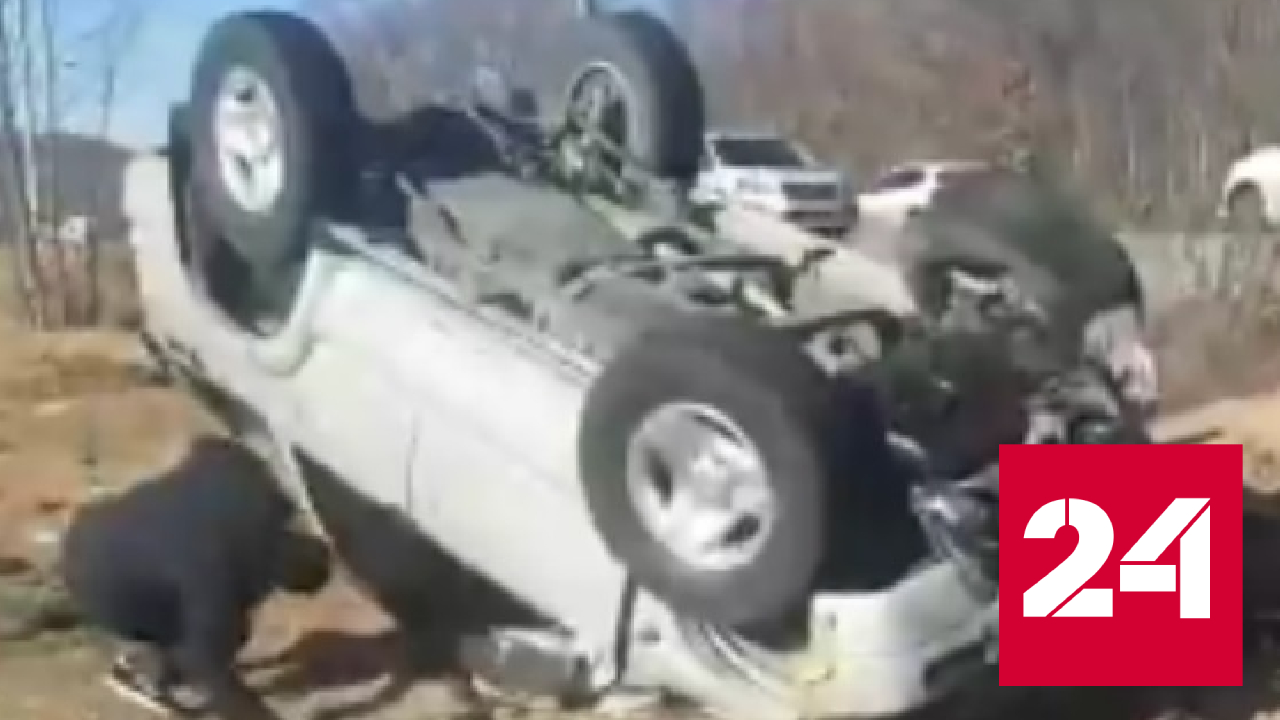 В лобовом столкновении иномарок в Приморье погибли трое - Россия 24