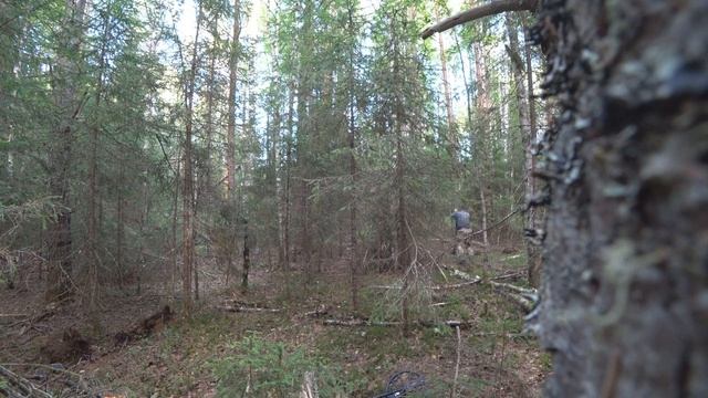 “ЖЕСТОКАЯ” ЭКСПЕДИЦИЯ! ЗИМНИК.. БОЛОТА.. ОДИН ПРОБИРАЮСЬ В ИСЧЕЗНУВШЕЮ СТАРИННУЮ ДЕРЕВНЮ! смотреть онлайн