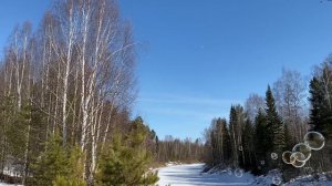 Видеофон / зимний лес / зимняя река / мыльные пузыри