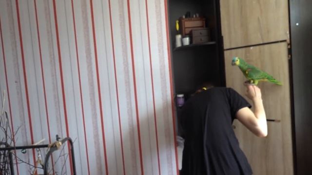 VLOG Кто у нас в гостях смотреть онлайн