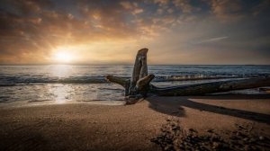 Jesse Gallagher | Mer-Ka-Ba 1 hour | Relax music 464