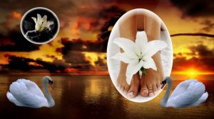 В.Королев_Лилия_монтаж Галины Поздеевой.mp4