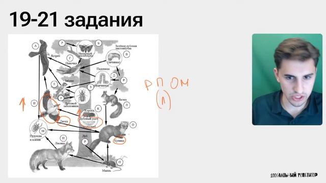 Варианты биологии 2024