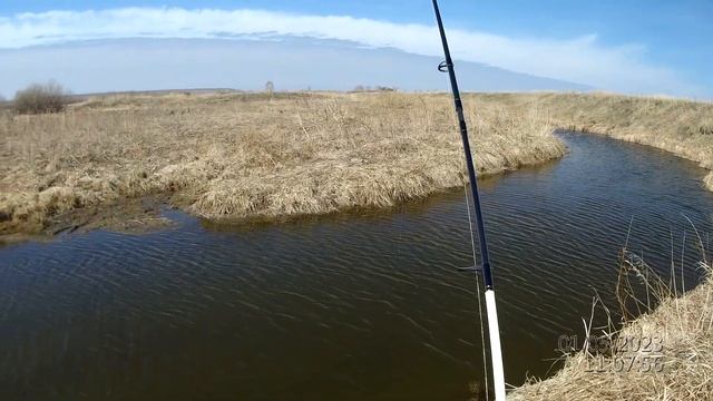 Открытие сезона летней рыбалки 2023. Ловля щуки на спиннинг