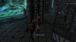 Serana's Thoughts on Late Night Escapades (SDA mod) - Skyrim, The Elder Scrolls V