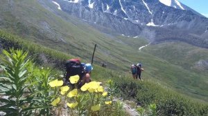 Алтай - тур к горе Белуха