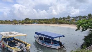 Ocho Rios, Jamaica Cruise Port Guide: Tips and Overview