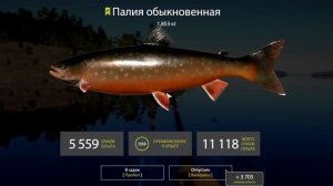 Палия на фидер. Фарм на Ладоге • Русская рыбалка 4 • Где клюет палия и сиг