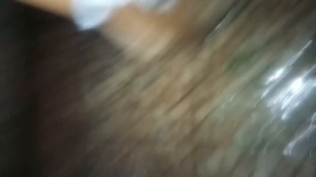 во время подачи, датчик пол метра выше полка. 53 градуса и 92 процента влаги смотреть онлайн