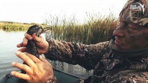 Охота на утку с манком и чучелами. Утиные приключения! Осень 2019