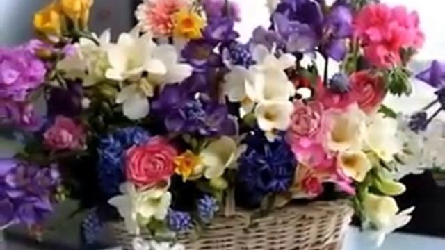 Благодарю! смотреть онлайн