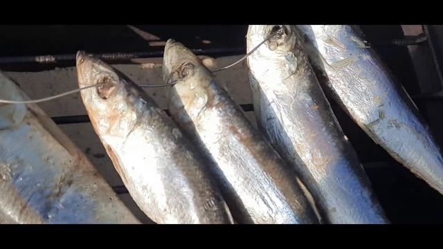Мойва горячего копчения