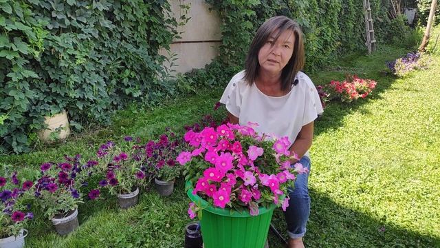 Пикобелла Пинк, Петуния шарообразная смотреть онлайн