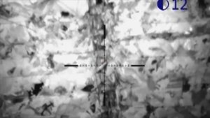 Pulsar N870 scope in action