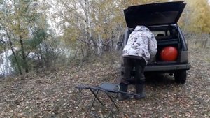 Охота на бобра. Первая охота, первый трофей.