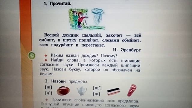 Шипящие согласные звуки
