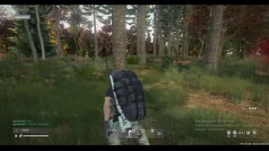 Dayz нарезка неверных