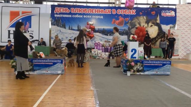 Копия видео "Новосибирск Бэст Бэби" смотреть онлайн