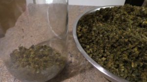 Ферментация цветков Одуванчика .