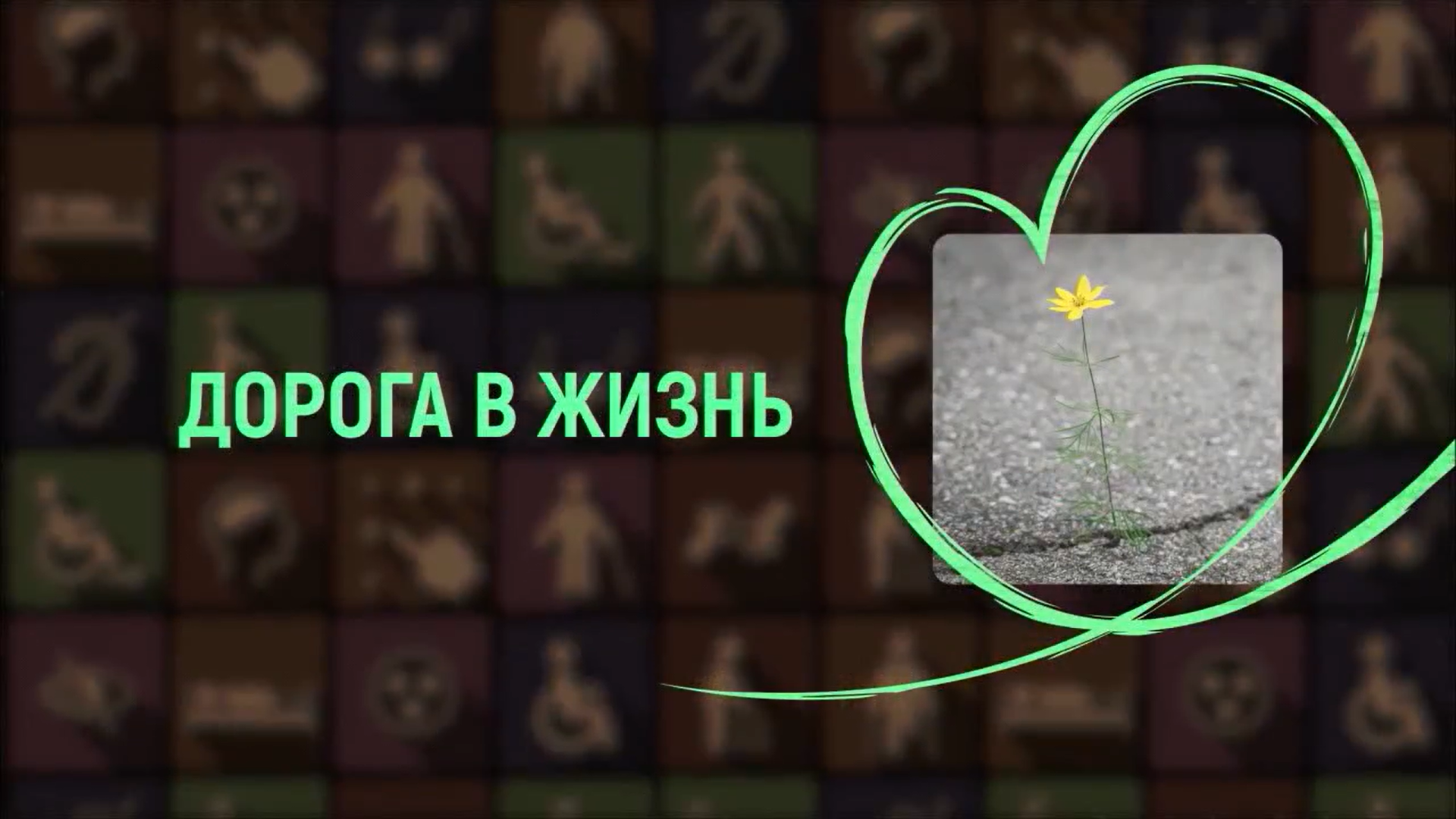 «Дорога в жизнь» - 3 программа - Любовь Баранова