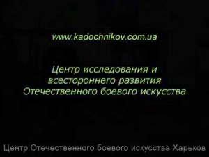 Система Кадочникова