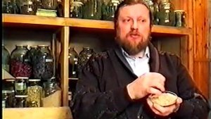 Аир Болотный. Целебные растения и их применение (Бабурин).