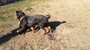 Ибрагим и Трофим