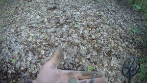 Коп в лесу 2020 !Где копать в межсезонье?