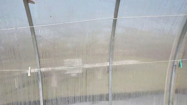 #543СДЕЛАЛА СВОЙ ОСТРЫЙ ПЕРЕЦ/ПОТЕПЛЕЛО НА КУБАНИ/ПЕРВЫЕ ПОСЕВЫ В ТЕПЛИЦЕ смотреть онлайн