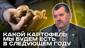 СЕМЕННОЙ КАРТОФЕЛЬ В СЕЛЬСКОМ ХОЗЯЙСТВЕ. СИЛА РОССИЙСКОГО КАРТОФЕЛЯ В ОБЪЕДИНЕНИИ ФЕРМЕРОВ.