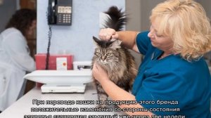 Грандорф: корм для кошек и котят, для стерилизованных
