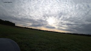 (30)Бретонский эпаньоль. Охота по дупелю. Первое поле. Возраст 9 месяцев.