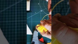 Ростовая мимоза