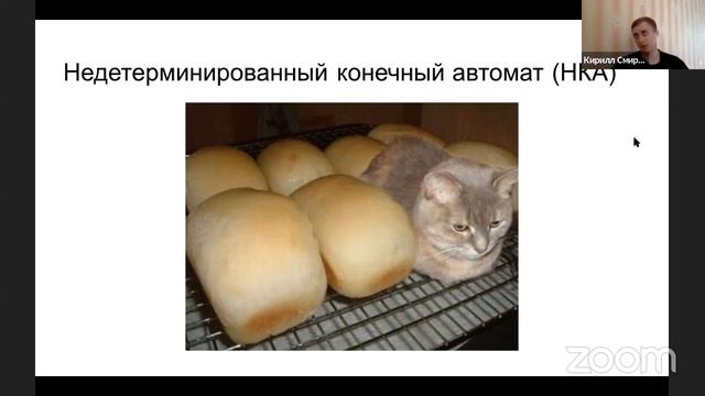 Можно котам хлеб. Кот не хлеб. Я кот а не хлеб не ешьте меня. Я не хлеб я кот. Коты в хлебе.