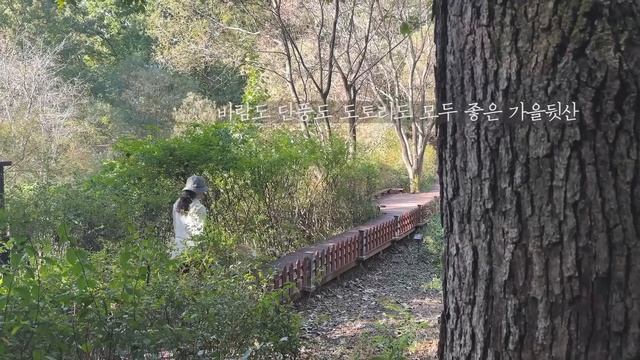 짜장과 스튜와 순대?눈꽃만두, 게살볶음밥, 소고기짜장, 비프스튜 смотреть онлайн