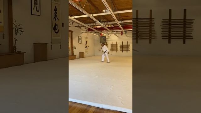 Koich Tohei Sensei's 22 count jo kata