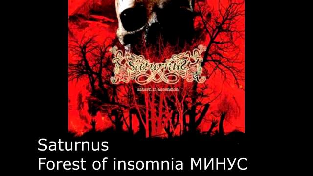 Saturnus Forest of insomnia - Guitar backing track смотреть онлайн